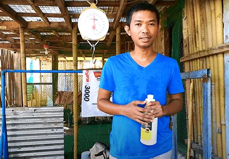 Anong Dewormer ang Gagamitin at Paano Magpurga ng Buntis .
